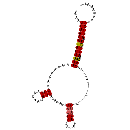 secondary structure
