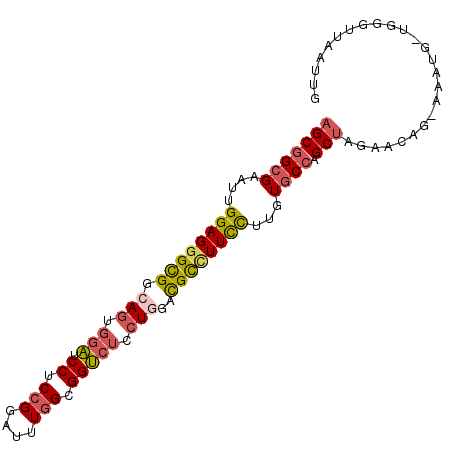 secondary structure