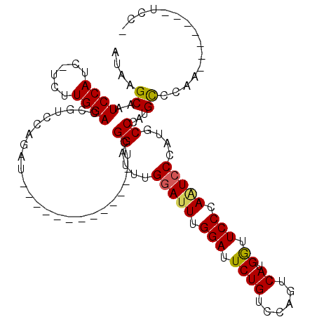secondary structure