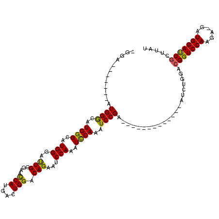 secondary structure