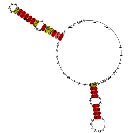 secondary structure