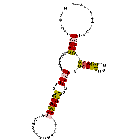 secondary structure