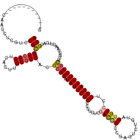 secondary structure