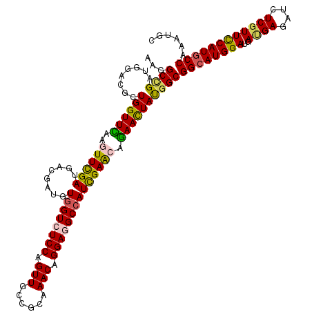 secondary structure