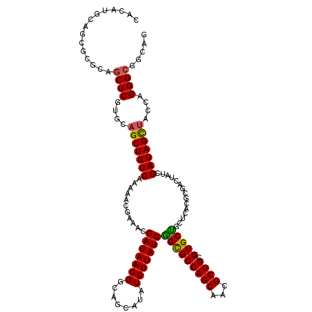 secondary structure