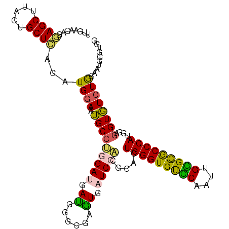 secondary structure