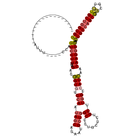 secondary structure