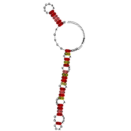 secondary structure
