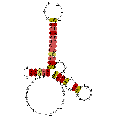 secondary structure