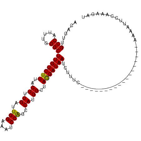secondary structure