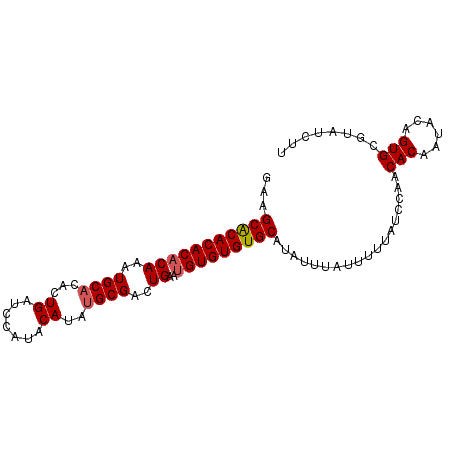 secondary structure