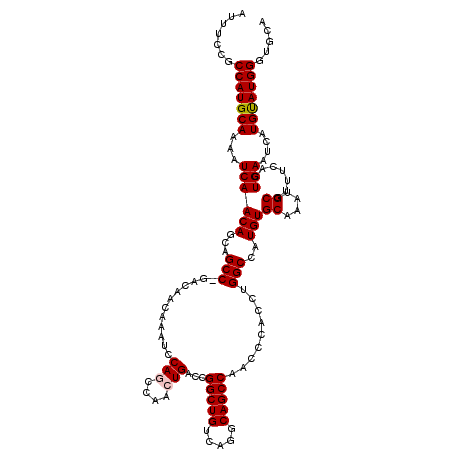 secondary structure