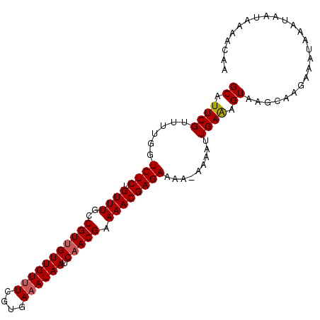 secondary structure