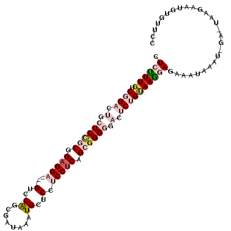 secondary structure