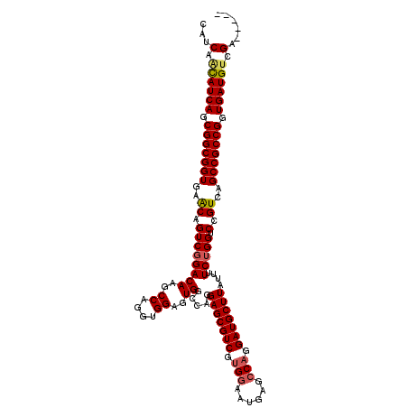 secondary structure