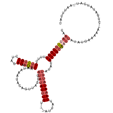 secondary structure