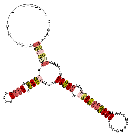 secondary structure