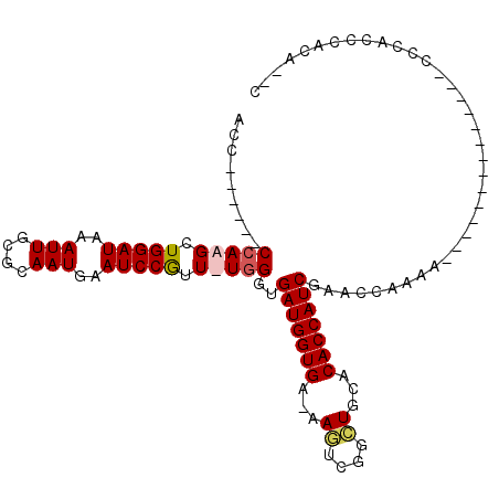 secondary structure
