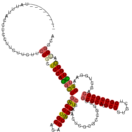 secondary structure