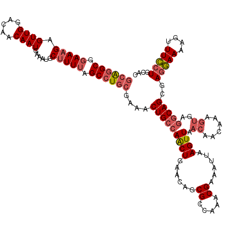 secondary structure