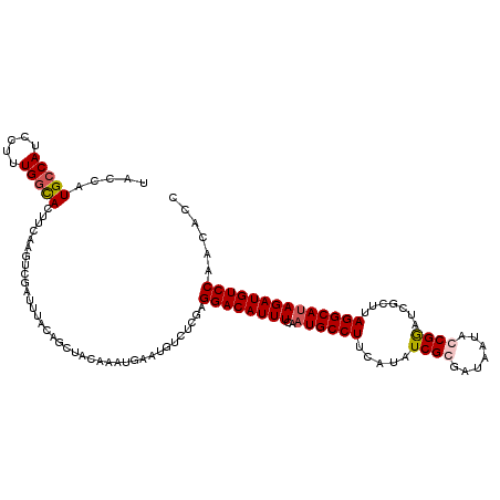 secondary structure