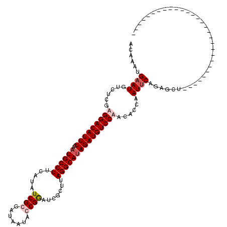 secondary structure