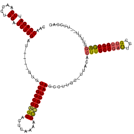 secondary structure