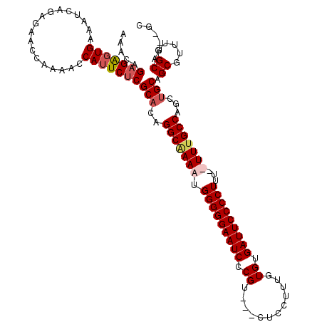 secondary structure