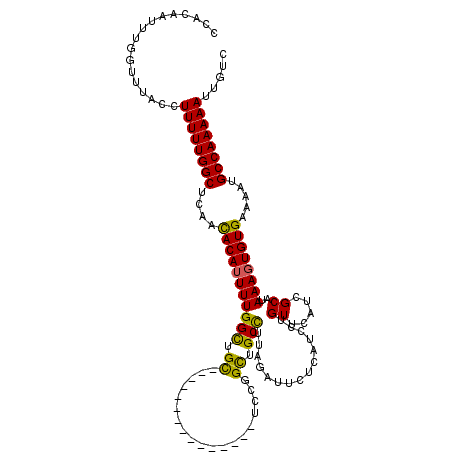 secondary structure