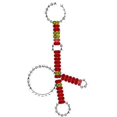 secondary structure
