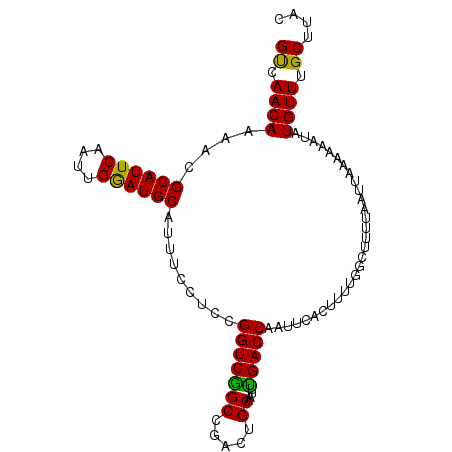 secondary structure
