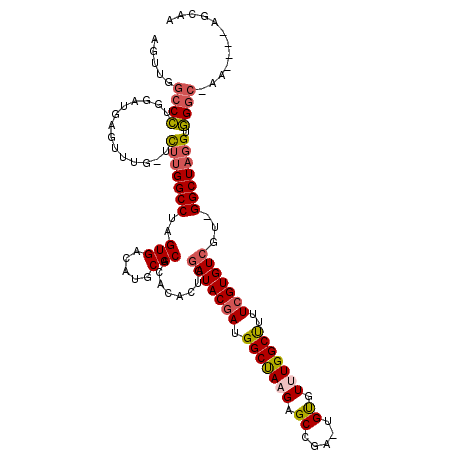 secondary structure