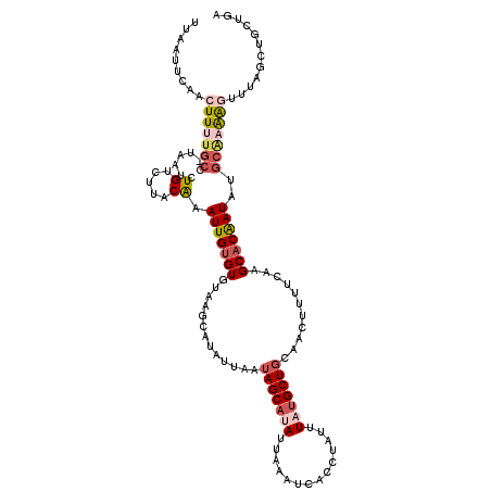 secondary structure