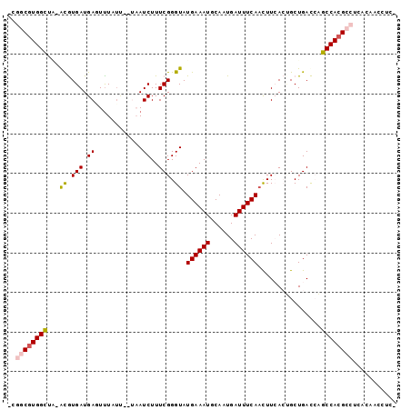 dotplot