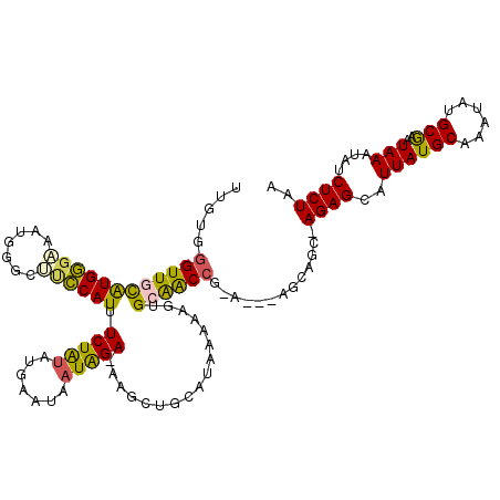 secondary structure