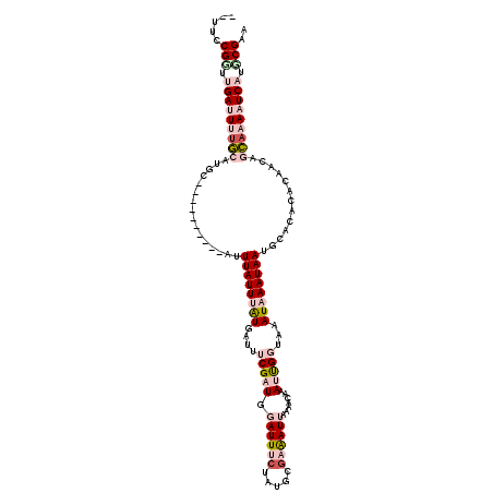secondary structure