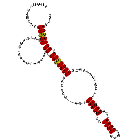 secondary structure
