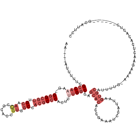 secondary structure