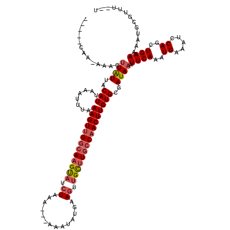 secondary structure