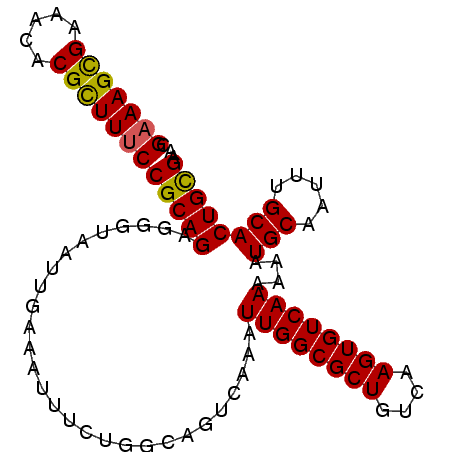 secondary structure