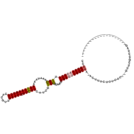 secondary structure