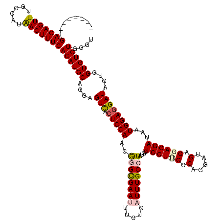 secondary structure