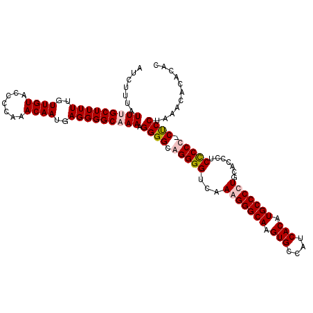 secondary structure