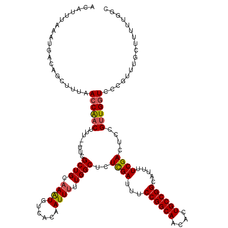 secondary structure