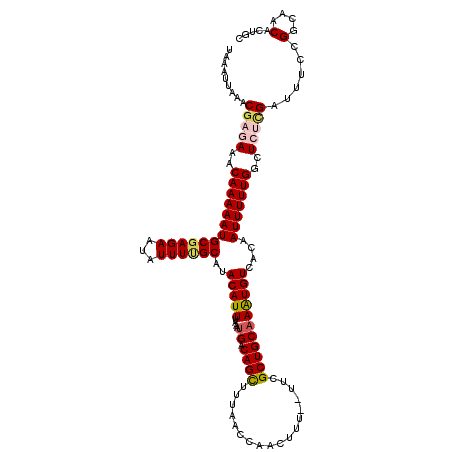 secondary structure