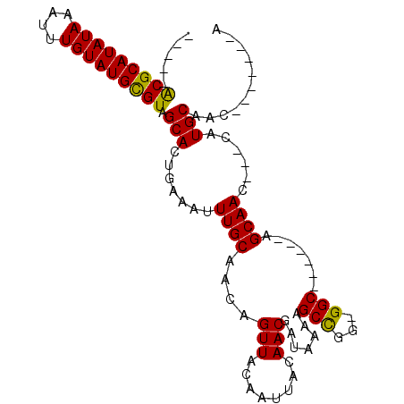 secondary structure