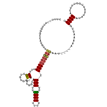 secondary structure