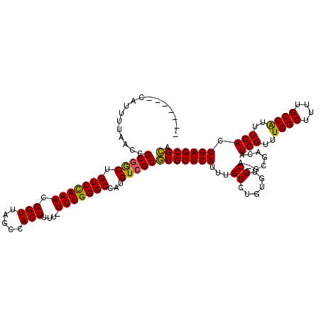 secondary structure