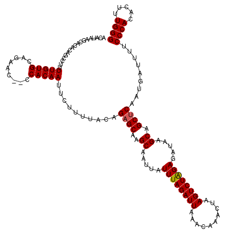 secondary structure