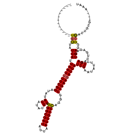 secondary structure